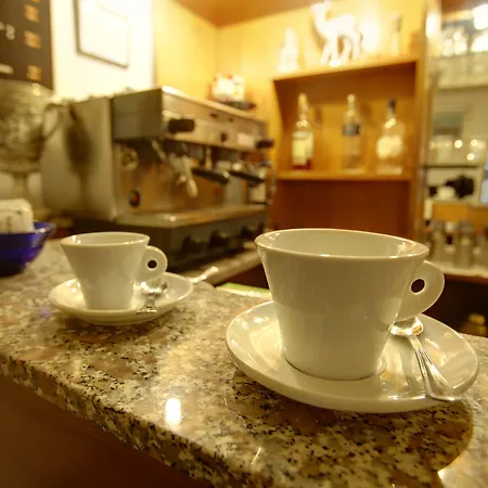 Hotel Ariele Florencja